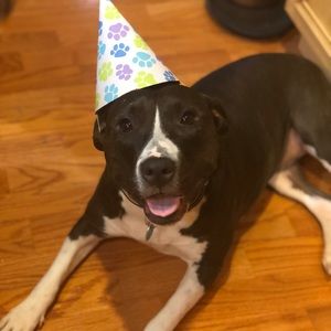 Meet your Posher, Jasmine